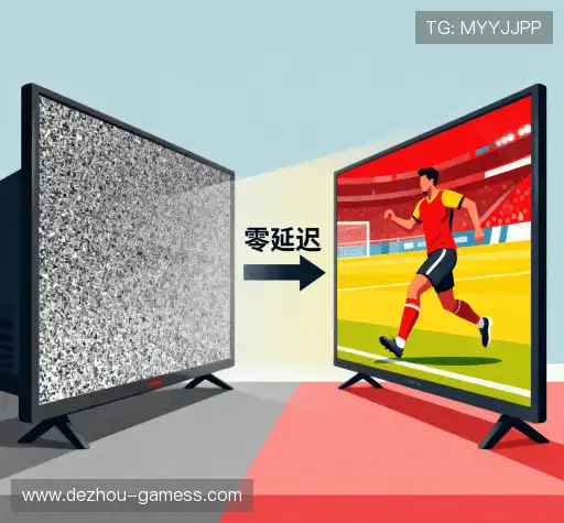 我们的风险管理